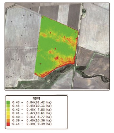 Precision Agricultural Mapping & Analysis