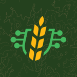 Precision application mapping